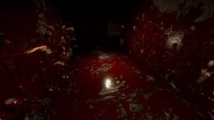 Roots of Insanity - PC