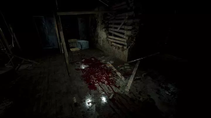 Roots of Insanity - PC