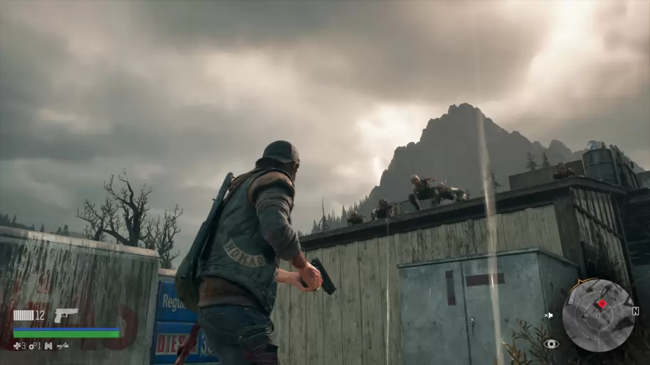 Days Gone