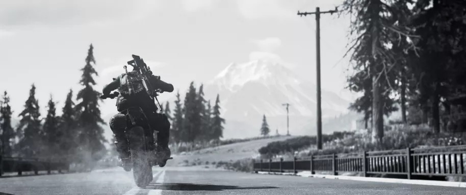 Days Gone PC