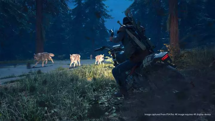 Days Gone - PS4