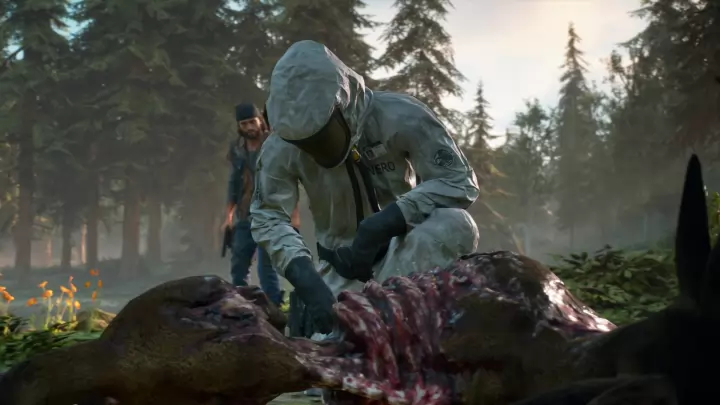 Days Gone - PS4