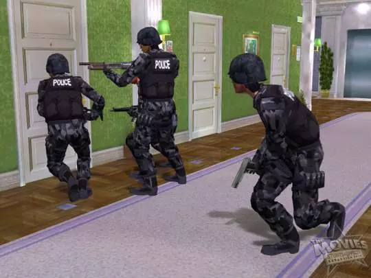 The Movies Stunts & Effects