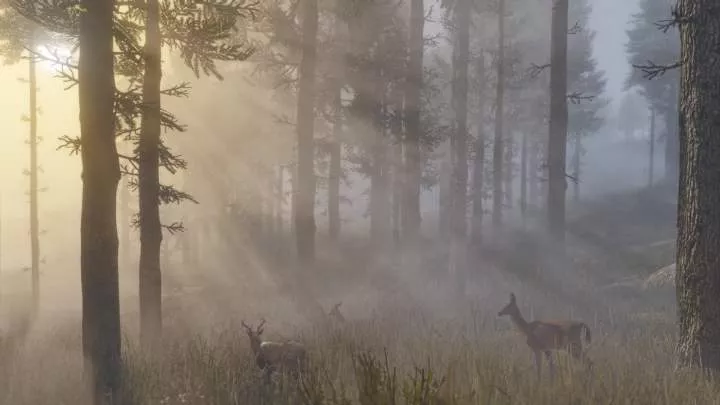 Red Dead Redemption 2 - PS4