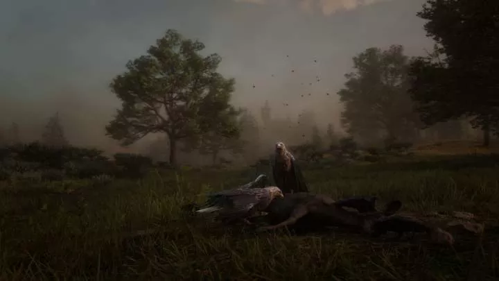 Red Dead Redemption 2 - PS4