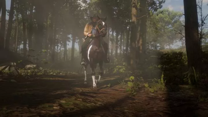 Red Dead Redemption 2 - PS4