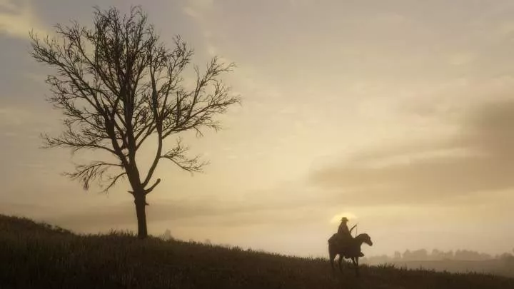 Red Dead Redemption 2 - PS4