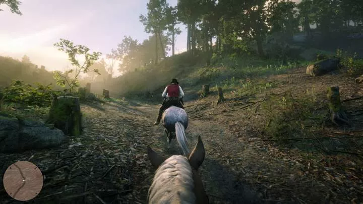 Red Dead Redemption 2 - PS4