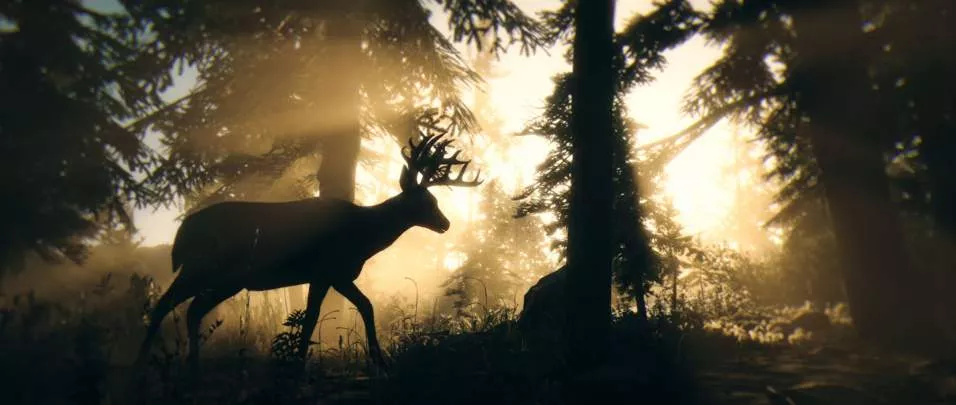 Red Dead Redemption 2 - PS4