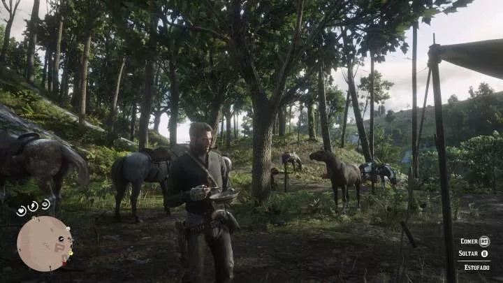 Red Dead Redemption 2