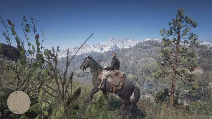 Red Dead Redemption 2 - PS4