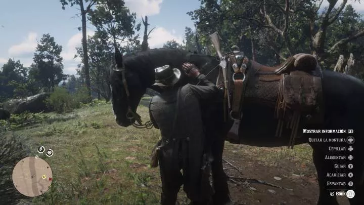 Red Dead Redemption 2