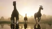 Tráiler con las mejoras gráficas de Red Dead Redemption 2