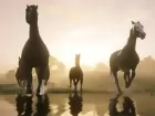 Tráiler con las mejoras gráficas de Red Dead Redemption 2