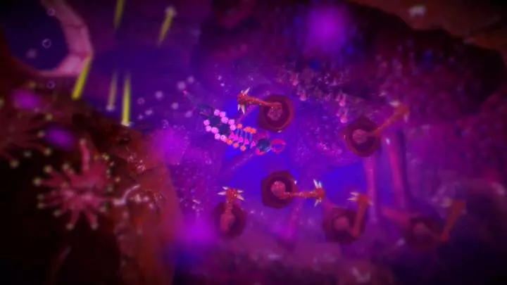 Into the Belly of the Beast