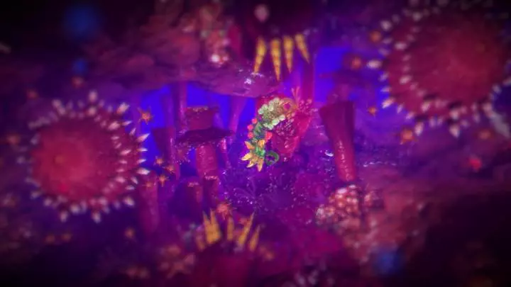 Into the Belly of the Beast