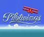 Pilotwings Wii