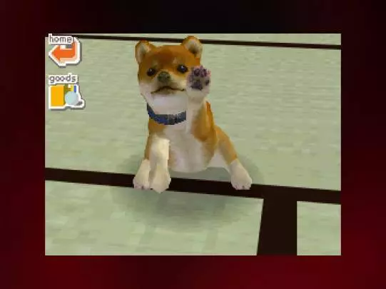 Nintendogs - DS
