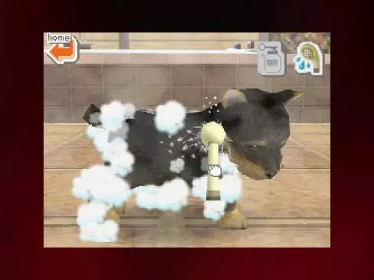 Nintendogs