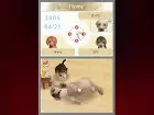 Nintendogs - Pantalla