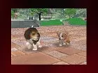 Nintendogs - Imagen DS