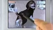 Nintendogs: Vídeo demostración 2