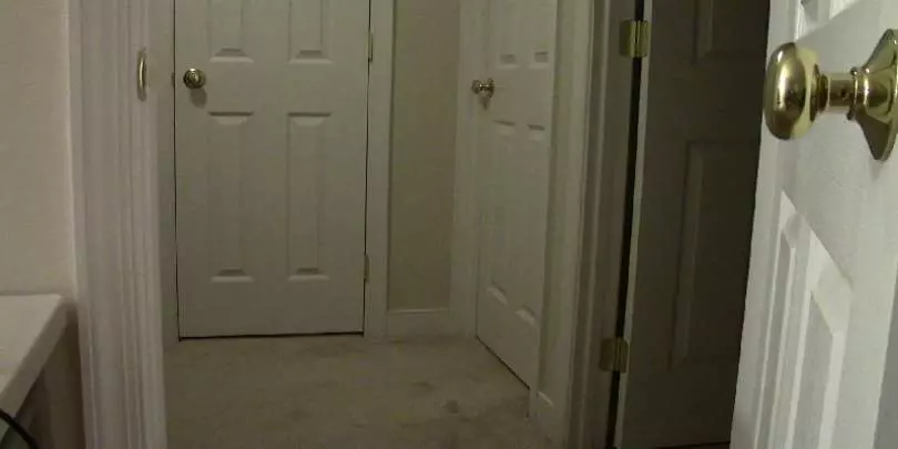 One Night Two Crazies - PC