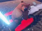 Bears Can't Drift!?