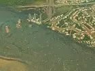 Cities Skylines - Natural Disasters - Imagen PC