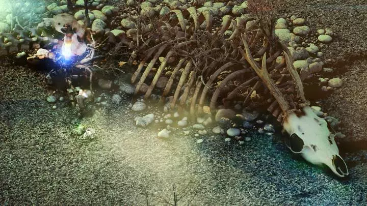 Beautiful Desolation - PC