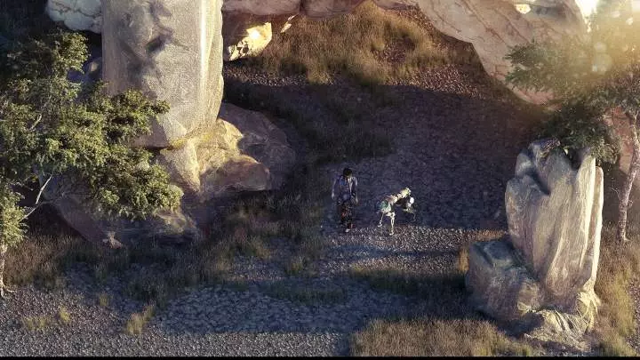 Beautiful Desolation