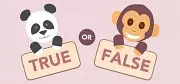 Carátula de True or False - PC