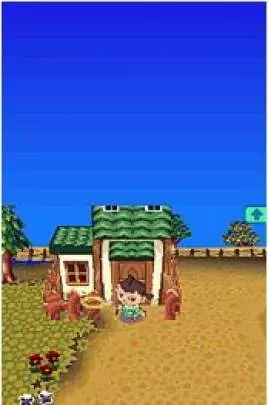 Animal Crossing Wild World - DS