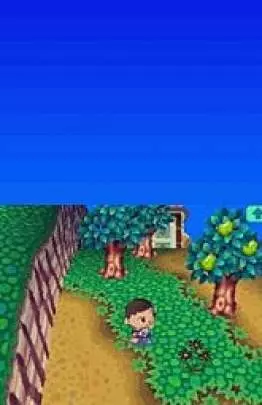 Animal Crossing Wild World - DS