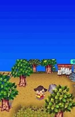 Animal Crossing Wild World