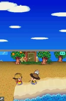 Animal Crossing Wild World - DS
