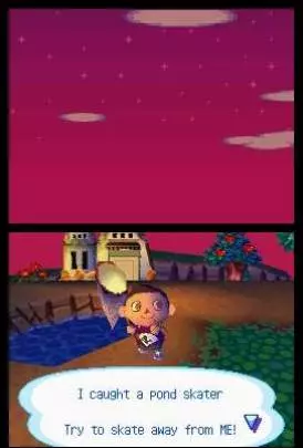 Animal Crossing Wild World