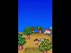 Animal Crossing Wild World - Pantalla