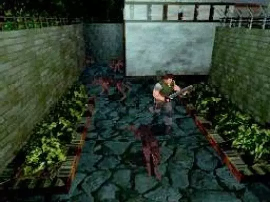 Resident Evil Deadly Silence - DS