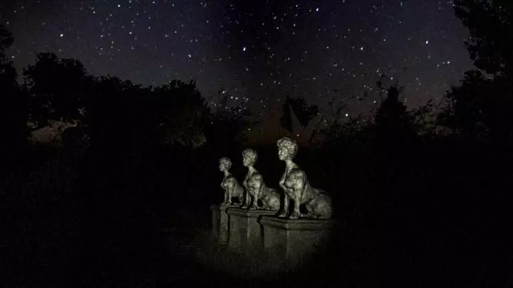 White Noise A tale of Horror - Xbox 360