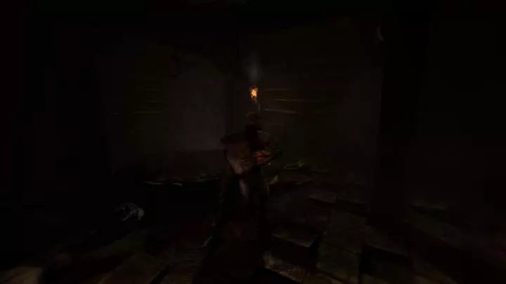 Amnesia Collection - PS4