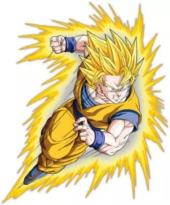 Dragon Ball Z Shin Budokai