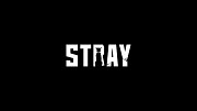 Carátula de Stray - PC