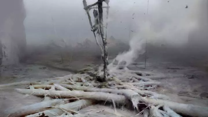 Project Wight (Nombre Temporal)