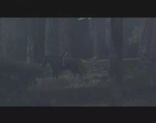 Shadow of the Colossus