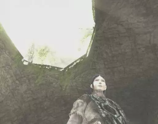 Shadow of the Colossus