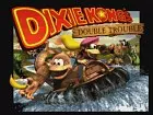Donkey Kong Country 3 Dixie Kong's Double Trouble - Pantalla