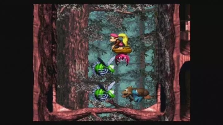 Donkey Kong Country 3 Dixie Kong's Double Trouble