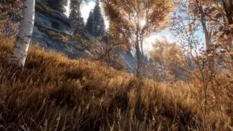 Querrás que los bosques en los juegos del futuro sean como theHunter Call of the Wild con mods
