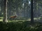 theHunter Call of the Wild